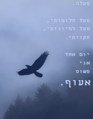 לעוף.